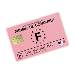 Driving License of France